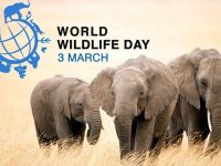 Световният ден на дивата природа се отбелязва на 3 март