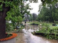 Вижте първи снимки на пораженията след бурята в централната част на Плевен!