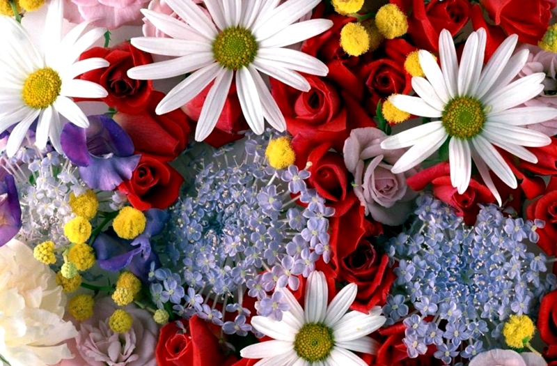 28 април – Цветница