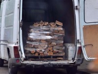Сгащиха бракониер от Кнежа, натоварил в буса си 3 кубика дърва без документи