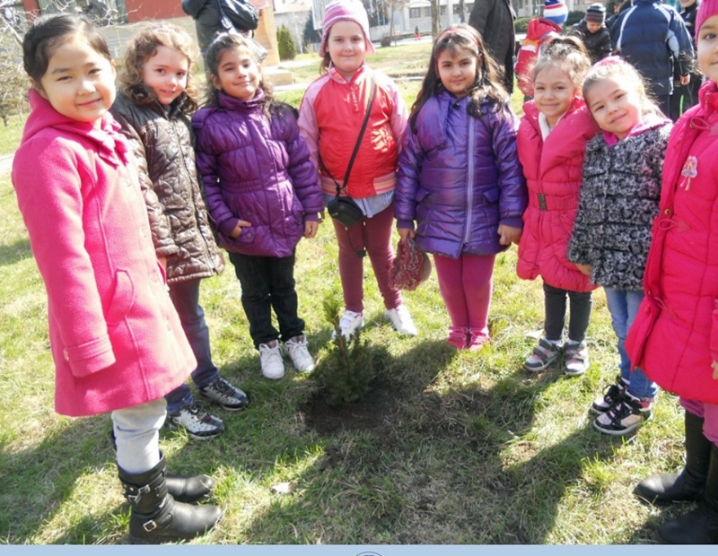 Две иглолистни дръвчета засадиха в центъра на Левски деца от ЦДГ „Слънце“