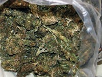 Полицията иззе голямо количество марихуана от 29-годишен плевенчанин