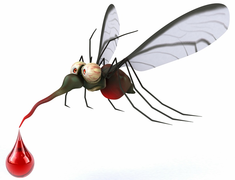 От днес започва третирането срещу комари в община Левски