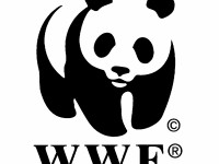 WWF провежда обучение за дългосрочно енергийно планиране в община Плевен