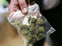 Арест за 17-годишен плевенчанин, спипан с марихуана
