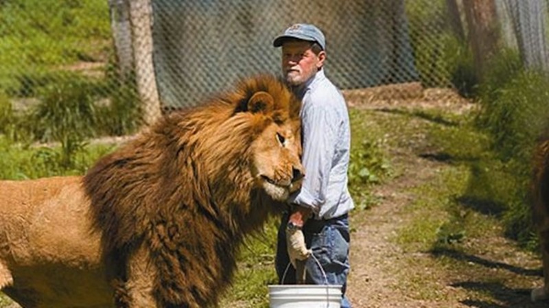 Плевенският зоопарк сред трите в страната с добри условия за отглеждане на лъвове