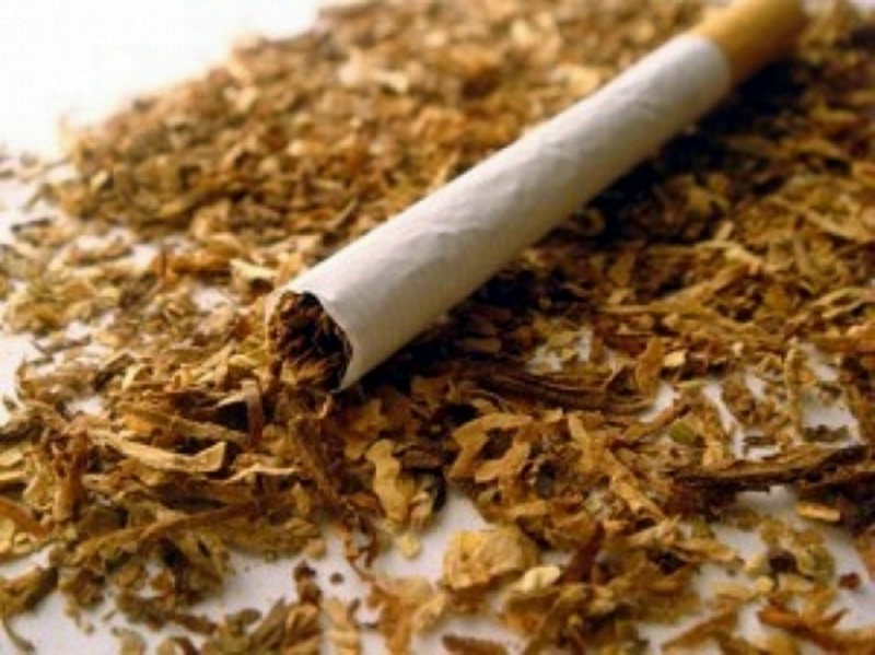 В Плевен потреблението на незаконни цигари е почти двойно от средното за страната