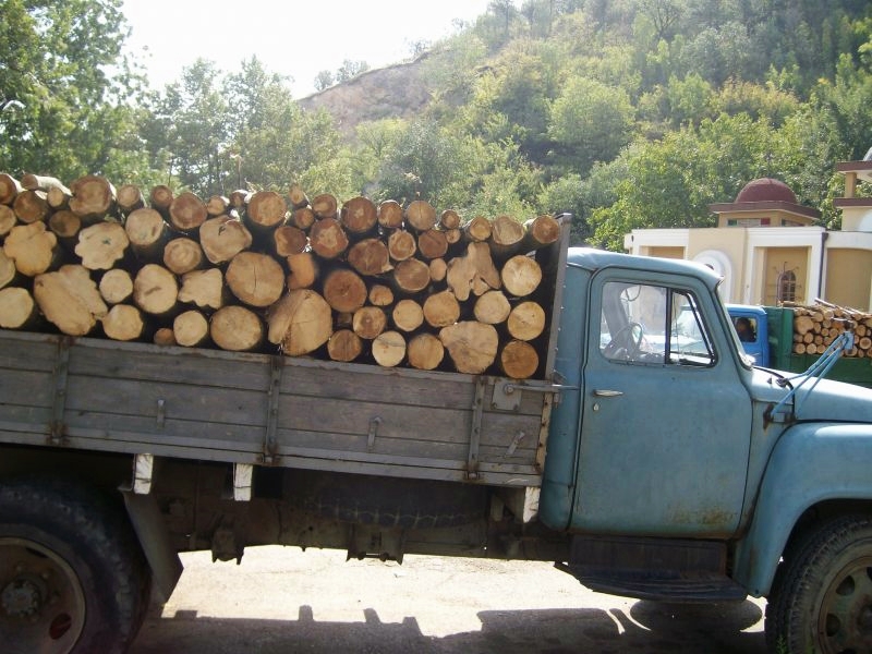 Мащабна акция срещу незаконната сеч и търговия с дървен материал проведоха полицаите от Никопол