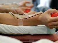 Ротаракт – Плевен ще проведе кръводарителска кампания