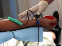 Световния ден на кръводарителя отбелязваме на 23-и май