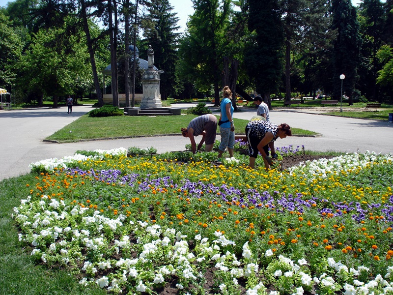 Засадиха 2 500 летни цветя в Градската градина