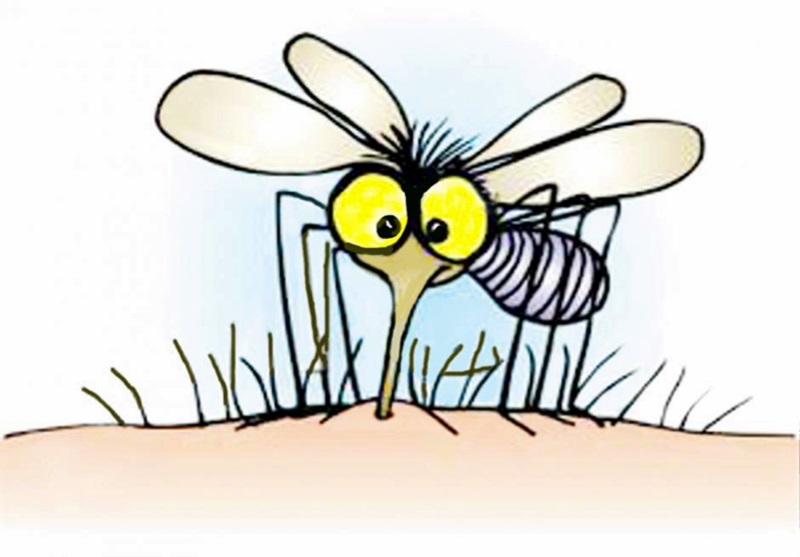Пръскат срещу комари в Плевен от днес до 23 юни