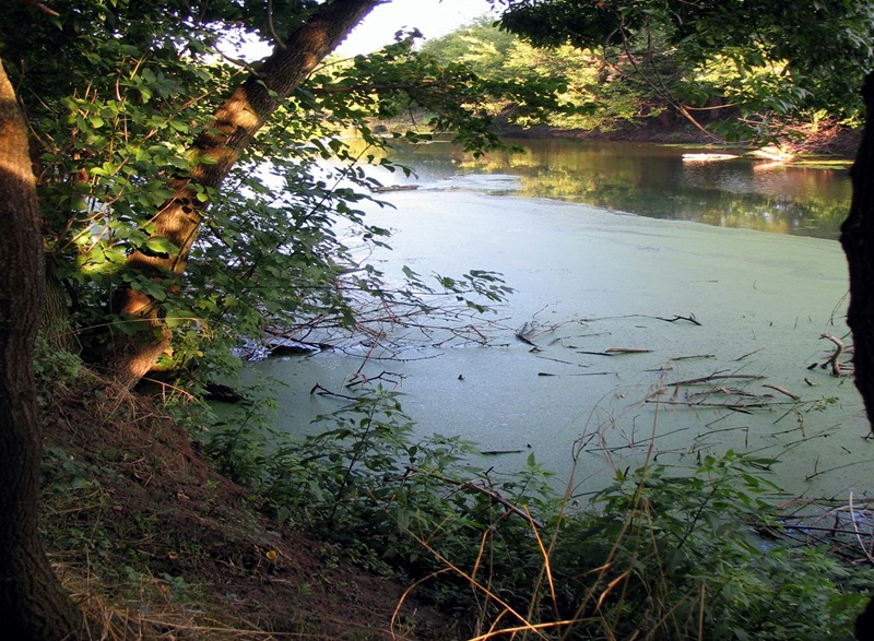 Сигнал за замърсяване на река Вит провери плевенската екоинспекция