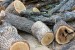 Засякоха бракониери на дърва край Буковлък