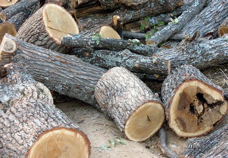 Осем кубика незаконни дърва иззеха от дома на 61-годишен от Рупци