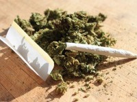 Иззеха марихуана от 20-годишен беленчанин