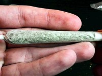 Откриха марихуана у двама при проверка на плевенска улица