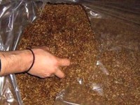 Над 10 кила контрабанден тютюн открити в тайници на плевенски пазар