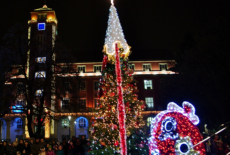 На 5 декември запалват светлините на Коледната елха в Плевен