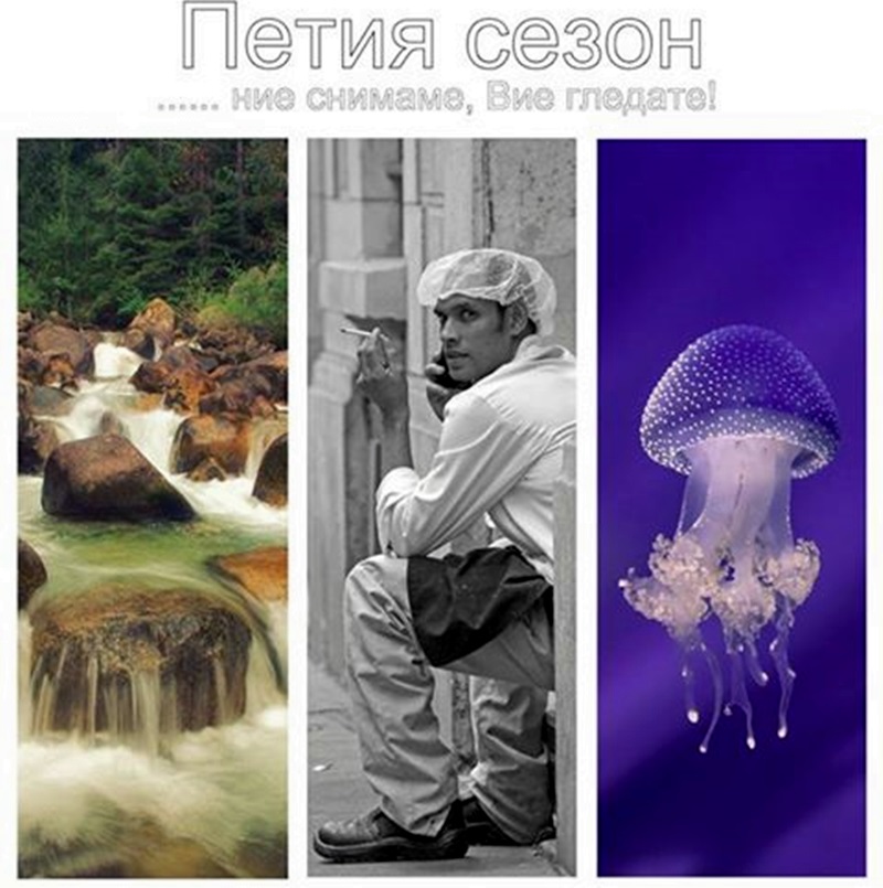 Фотоклуб „Плевен 4хСОКИ” с изложба в ХГ „Илия Бешков” днес