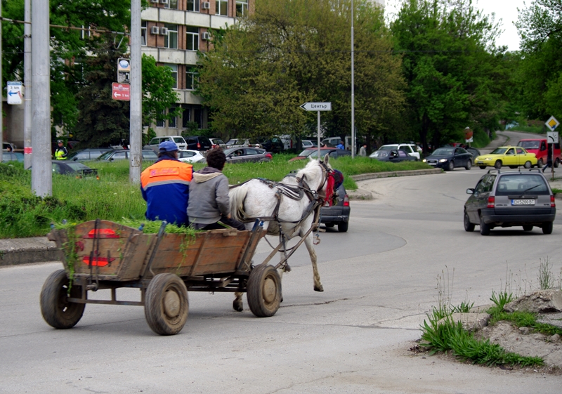 Мислят нови мерки за спиране на каруците по улиците на Плевен
