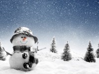 18 януари – Международен ден на снежния човек