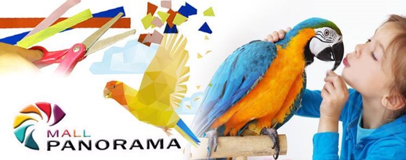 Пъстри папагали от хартия и пера ще творят малки и големи днес в Панорама Мол Плевен