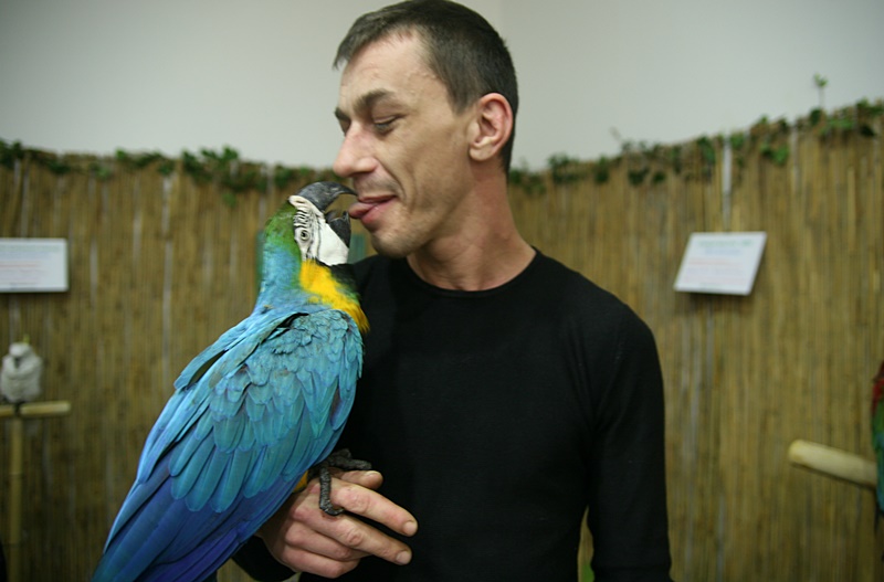 Невероятна изложба на папагали доставя радост на малки и големи в Панорама мол Плевен – фото-галерия