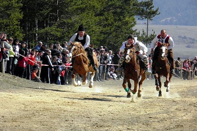 На конни състезания канят днес в Радомирци