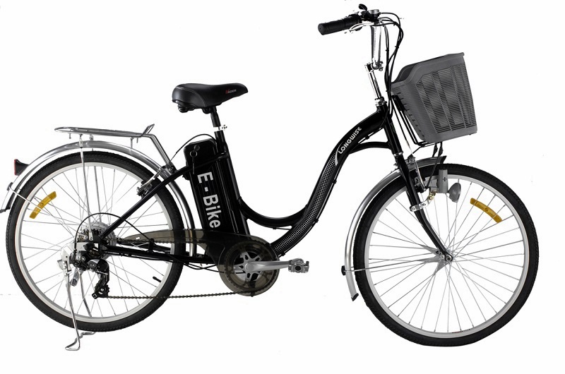С електрически велосипеди ще разглеждат туристите забележителности край Плевен и Червен бряг