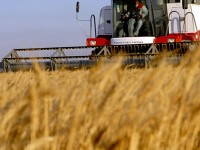 В селското стопанство са вложени най-много инвестиции за дълготрайни материални активи в област Плевен за година