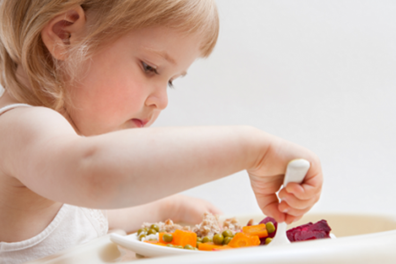 Доставят некачествени храни в детски градини в Плевен?