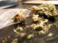 Иззеха марихуана от 47-годишен в „Сторгозия“