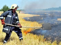 Огнеборците гасиха пожари в сухи треви, зърнокомбайн се запали в землището на Бреница