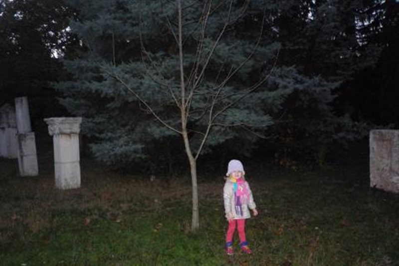 ПГРТО-Плевен се включи в играта „Хиляди дървета за децата на България”