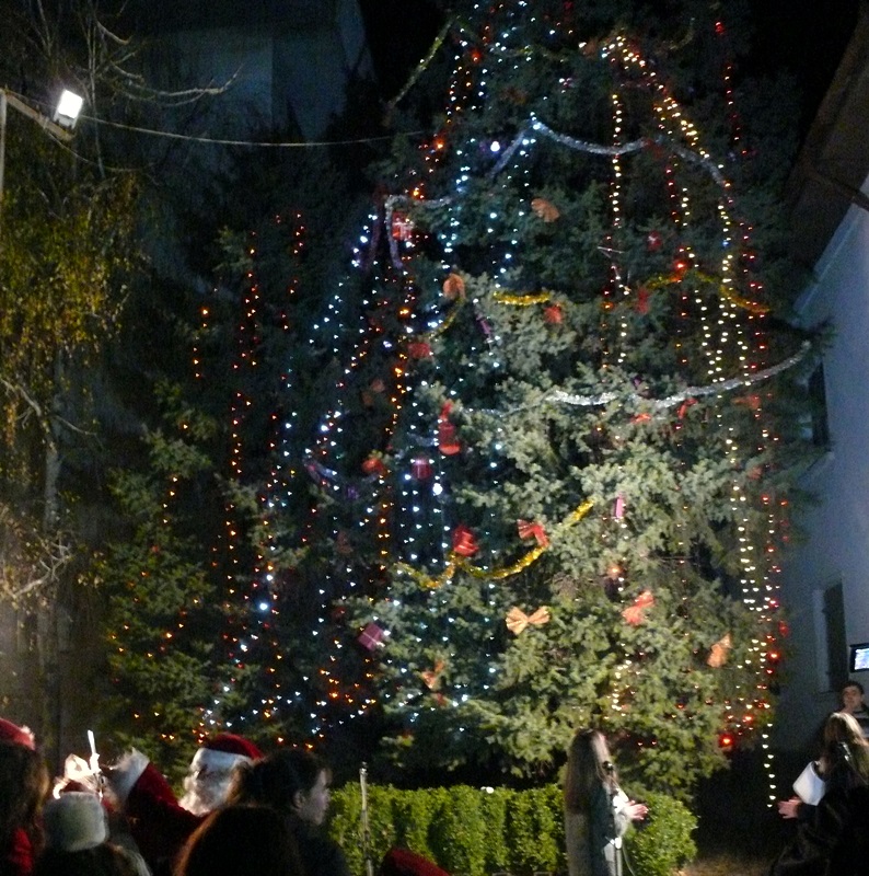 Светлините на коледната елха грейнаха в Левски