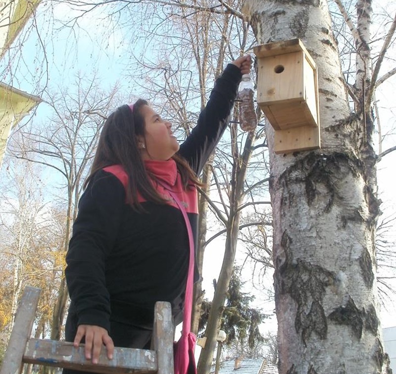 Децата от ОУ „Васил Левски” – Белене поставиха хранилки за птици