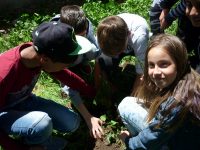 100 дръвчета засаждат в Левски по повод Международния ден на Земята