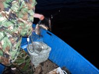 Спипаха рибар, ловил с мрежи на Телишкия язовир (снимки)