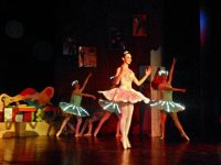 Балетният спектакъл „Куклената фея” ще гостува в Искър