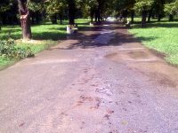 Областният управител взе спешни мерки във връзка с наводнената алея началото на Кайлъка