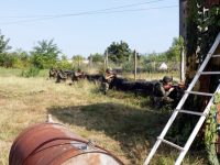 Военни от Плевен ще участват в операция „Алтеа“ на Европейския съюз в Босна и Херцеговина
