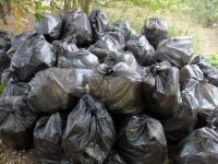 220 торби с пластмасови отпадъци събрани по време на първия Дунавски ден на доброволеца в ПП „Персина”