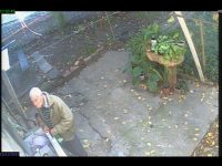 Внимание! Възрастен мъж обира системно двор в Плевен /видео/