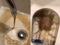 Кална вода изправи на нокти плевенчани (видео)