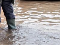 В община Долна Митрополия е обявено частично бедствено положение