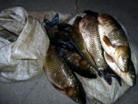 По сигнал на плевенски полицаи иззеха 100 кила риба без документи