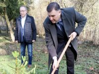 Областният управител Мирослав Петров засади елхичка в „Кайлъка“