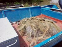 Инспектори на ИАРА – Плевен извадиха 460 метра бракониерски мрежи