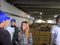 Зам.-министър Василева и ученици посетиха животновъдно стопанство в село Петърница